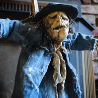 scarecrow1