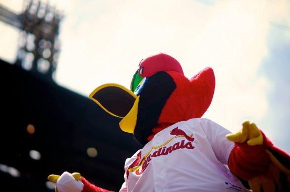 St. Louis Cardinals Fredbird