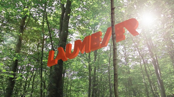 Laumeier logo