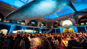Photo of Rainforest Alliance Gala, held at American Museum of Natural History in New York