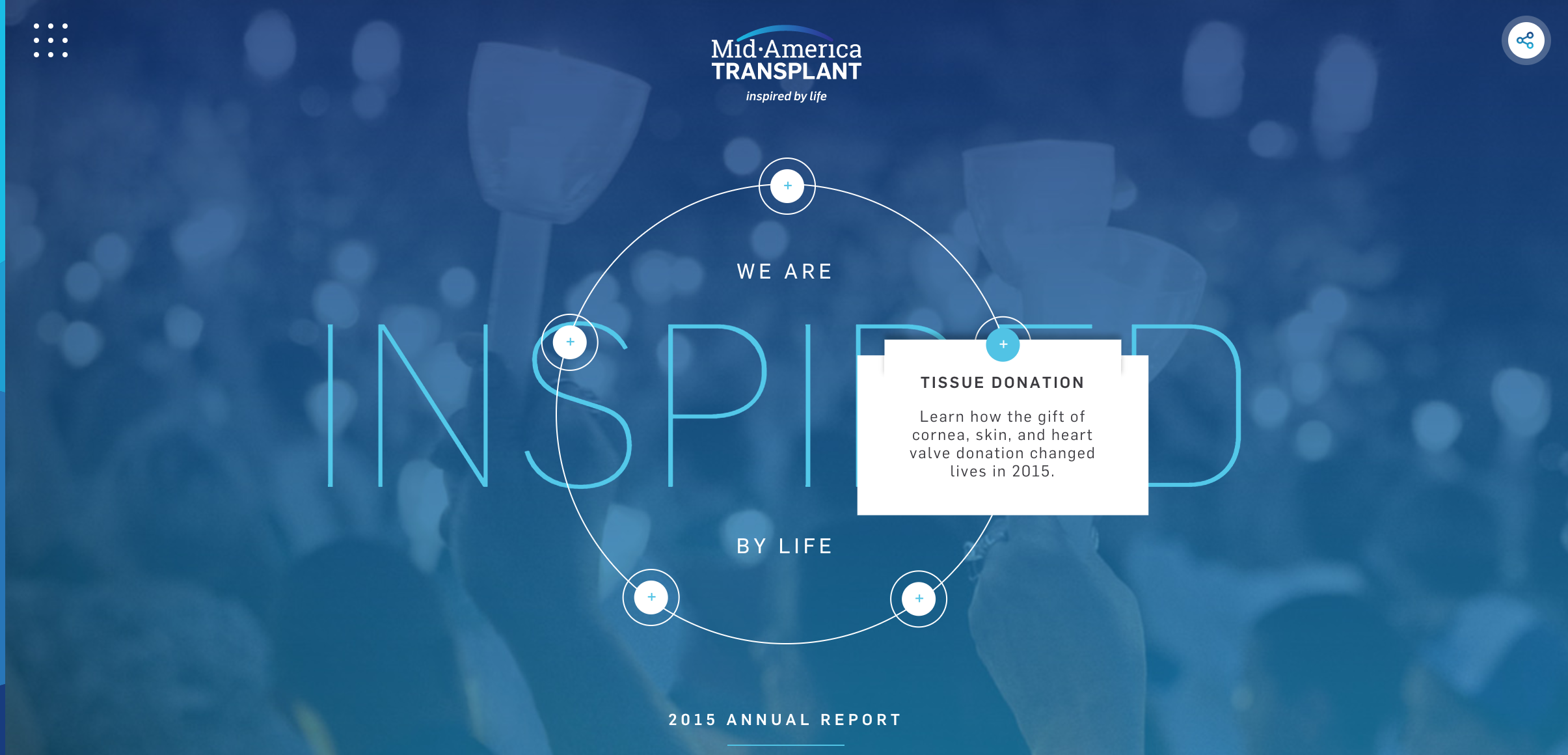 Online Annual Report Sections