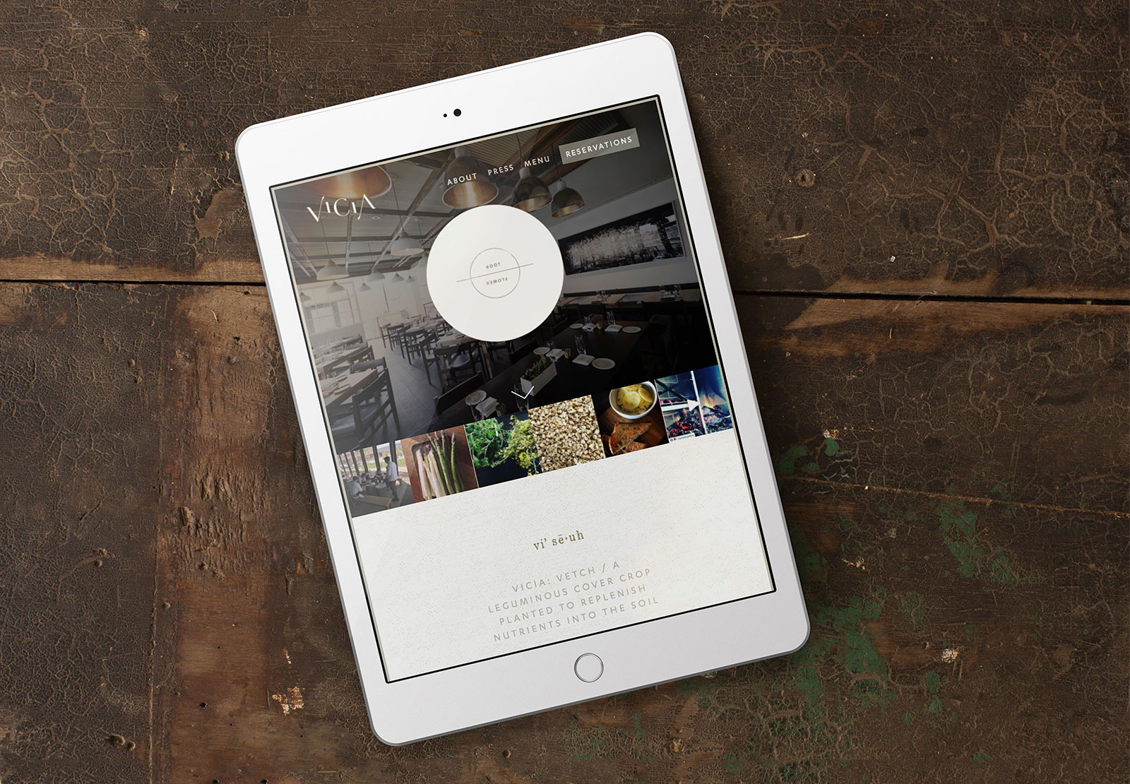 Vicia website on iPad