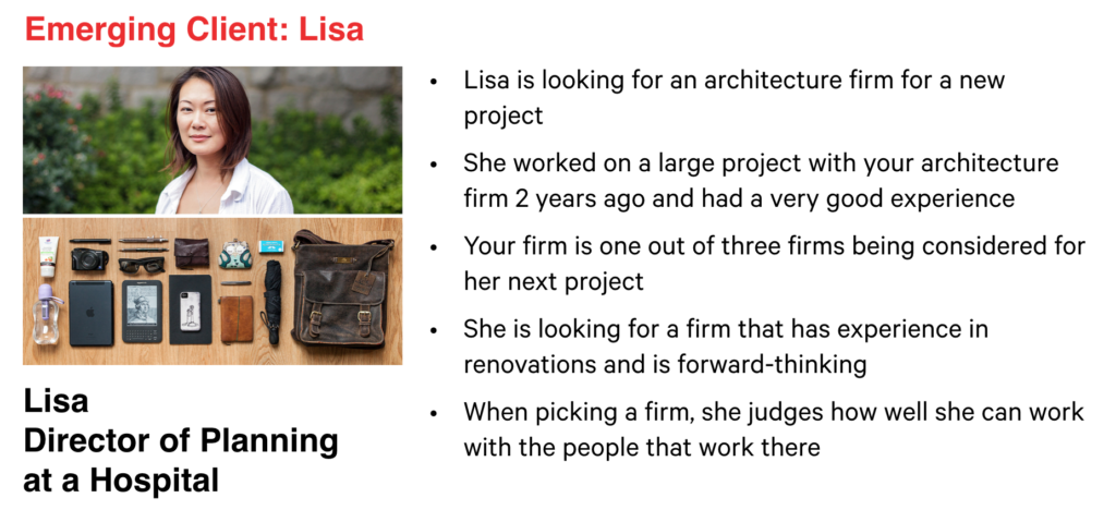 user experience user persona