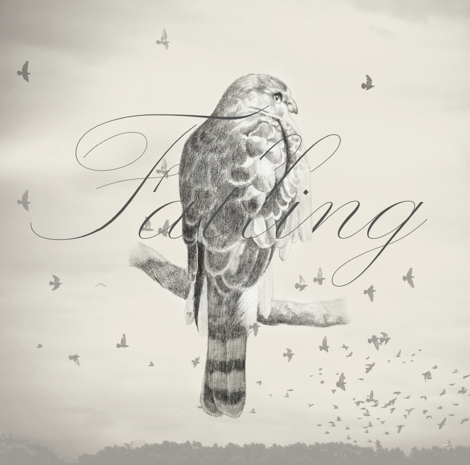 Album Cover, Falling Fences II