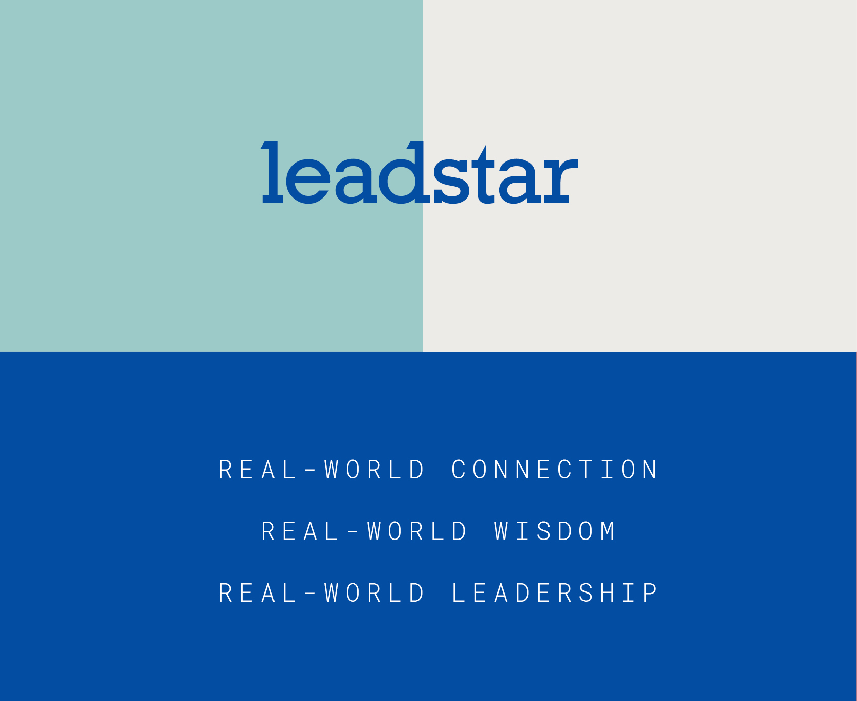 LeadStar BrandLanguage1